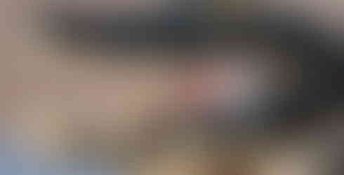 Porträt eines Yacaré-Kaimans