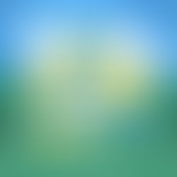 고양 화정동 태양테라피 - 4마캉스