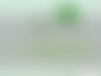 인천 송도동 센트럴파크역 클로버테라피