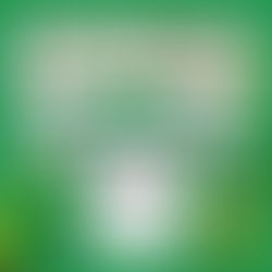 송파 방이동 에뜨와 - 4마캉스