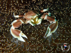 P4230054_Original 2.jpg