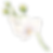 Botânico 04_edited.png