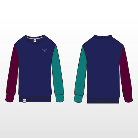 the front and back of a blue sweater with purple and green sleeves