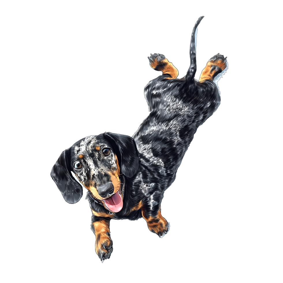 isauradsg_Watercolor_illustration_of_a_dapple_dachshund_puppy_842b830b-848c-4cbe-9598-c3c8