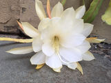 image3.jpeg