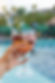 nova area de lazer, Vinhedo Plaza Hotel 2023-025.jpeg