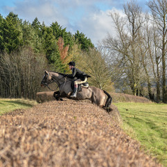 DSC_1021-Edit.jpeg
