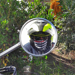 14233208_10154593127489455_4476818268114897536_n