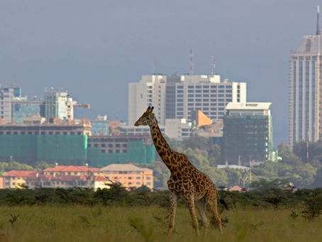 Nairobi: A City Where Nature and Progress Dance
