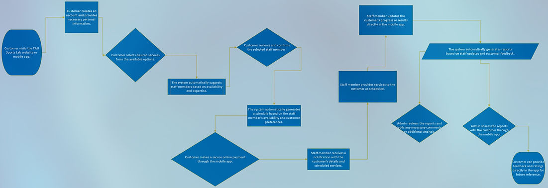 TAU New Process Flow_edited.jpg