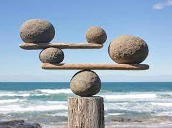 rocks balancing on driftwood.jpg