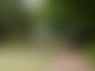 Light Up Your Christmas Shopping at Hunter Valley Gardens Village