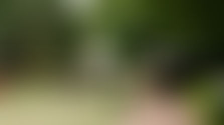 Light Up Your Christmas Shopping at Hunter Valley Gardens Village