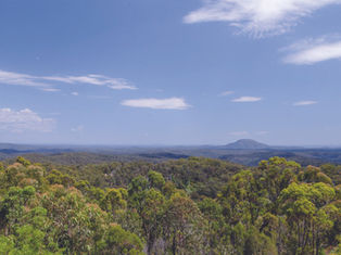 Have your say on Cessnock’s Climate Change Strategy