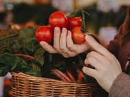 Hunter Valley Market Guide