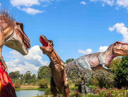 From Fossils to Fairy Tales: Where Dinosaurs and Dragons Share the Garden