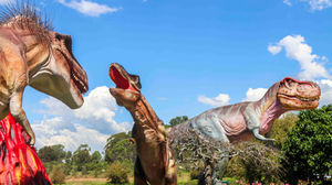 From Fossils to Fairy Tales: Where Dinosaurs and Dragons Share the Garden