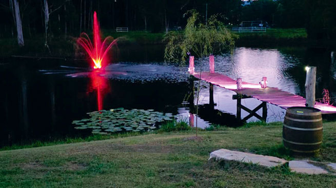 Turn Your Dam into a Show Stopper