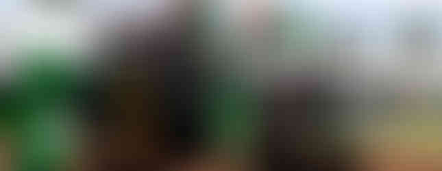 The Valley Brewhouse