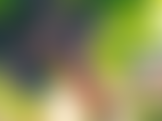 Winmark Harvest 2022