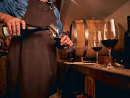 Hunter Valley Red Wines