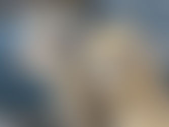 Warming up Winter at The Australian Alpaca Barn