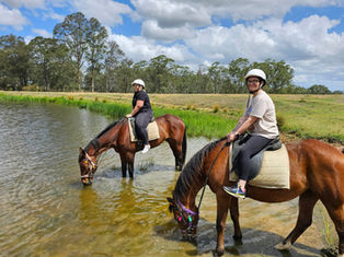 Explore the Hunter Valley on Horseback This Autumn!