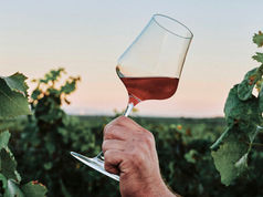 The Red Renaissance | Our Enduring Wine Legacy