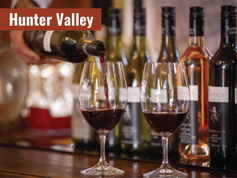 Tintilla Estate Wines