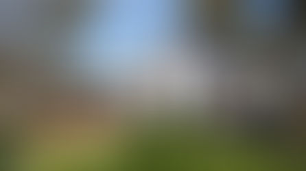 Thirty Years of Family, Food and Fine Wine