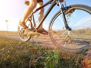 Hunter Valley Cycleway Receives Nearly $2million in Funding