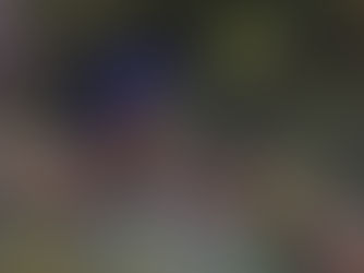 Bird and Brush Art Exhibition