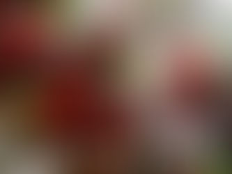 Christmas Magic Awaits in Historic Morpeth