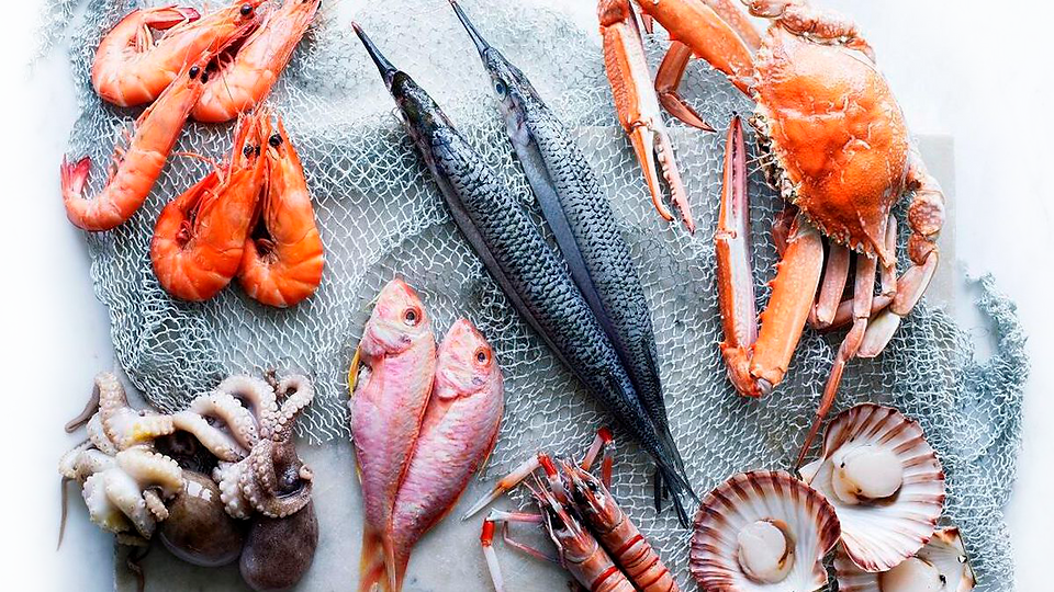 Fishermans Co Op