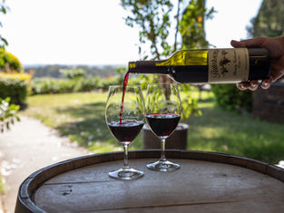 Petersons Wines: A Hunter Valley Legacy