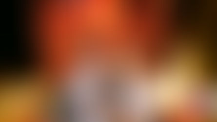 Magic Under the Stars: Inside the Christmas Lights Spectacular