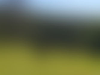 The Perfect Summer Activity