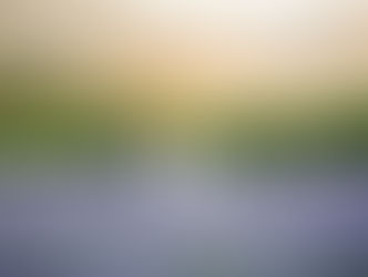 Summer Smiles in Bloom at Hunter Lavender Farm