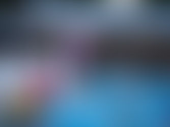 Australia Day in Maitland