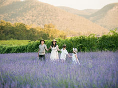 What's on this Month?