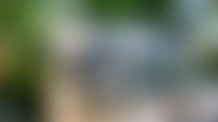 Tamburlaine: 40 Years of Organic Excellence and Award-Winning Innovation