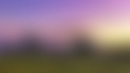 Explore Wine Country from Horseback at Hunter Valley Horse Riding & Adventures