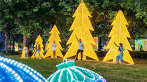 Christmas Comes Early to Hunter Valley Gardens