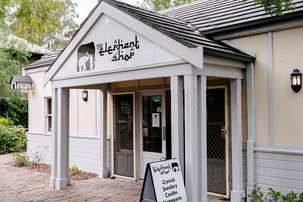 Shopfront of "The Elephant Shop" with a sign listing Crystals, Jewellery, Candles, Homewares. Beige building with greenery around.