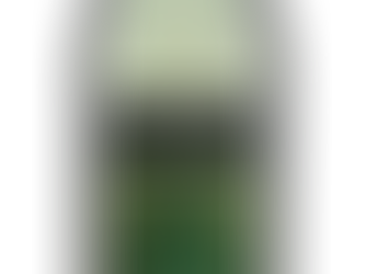 JACK SQUAT Your Sober Sidekick!