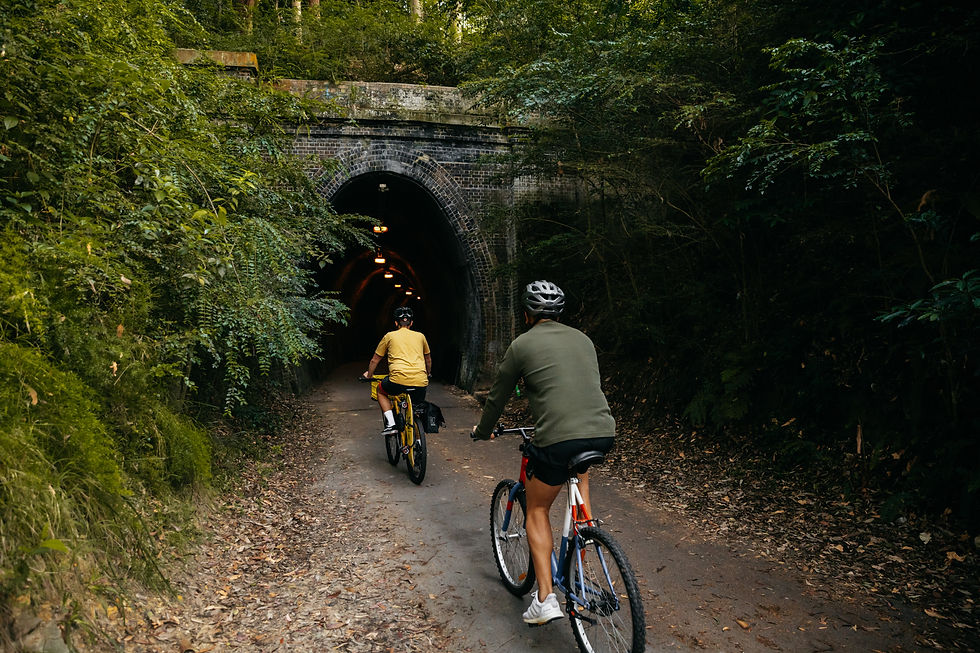 Fernleigh Track Tunnel. Source: Lake Macquarie City Council