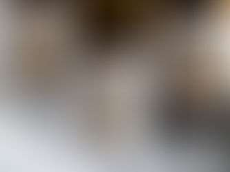 Kelman Vineyard: Where Wine and Community Unite