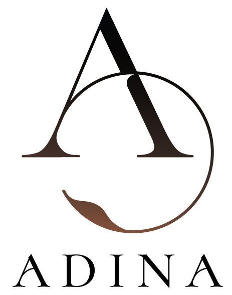 Stylized logo with a large letter "A" inside a circle, featuring a gradient from black to brown. Below, the text reads "ADINA" in bold font.
