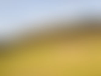 How McGrath is Changing the Hunter Valley Vineyard Market