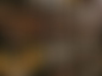 The Perfect Pour: Why Wine Bottles Are 750ml